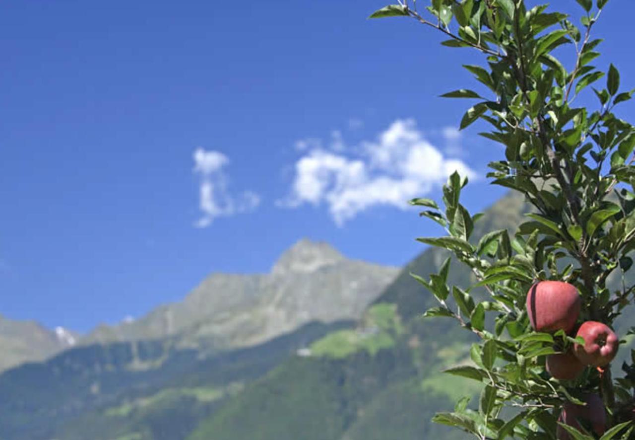 Hahnenkamm Rainegg Apartamento Schenna Exterior foto